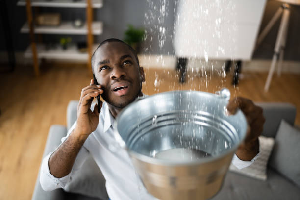 Best Sewage cleanup and water damage restoration  in Louisvle, IL