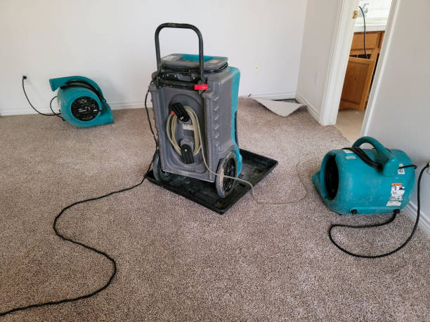 Best Water damage restoration near me  in Louisvle, IL