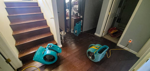 Best Carpet water damage restoration  in Louisvle, IL