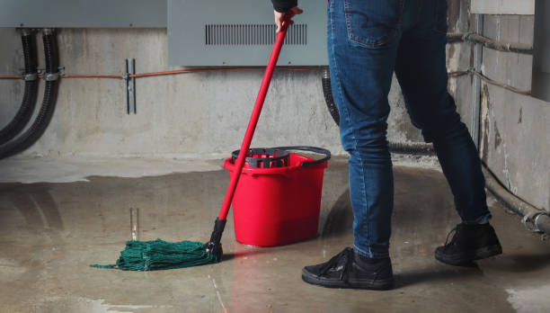 Best Ceiling water damage repair  in Louisvle, IL