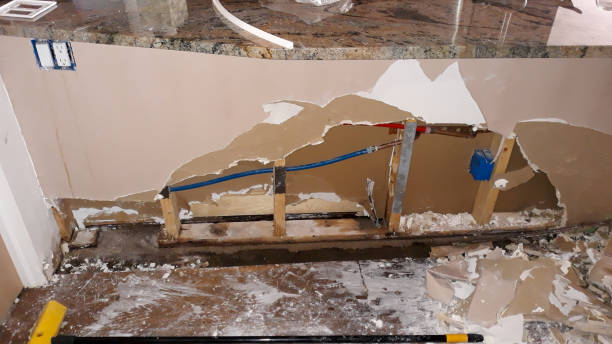 Best Mold removal after water damage  in Louisvle, IL