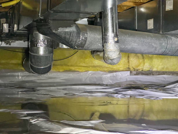 Best Water damage mitigation services  in Louisvle, IL