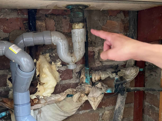 Best Basement water damage restoration  in Louisvle, IL