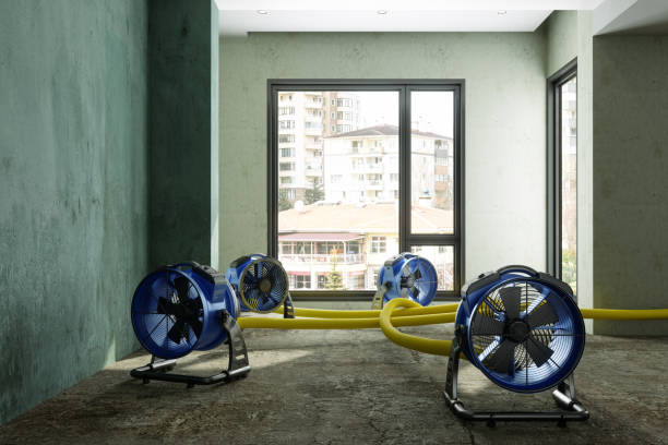 Best Water damage restoration near me  in Louisvle, IL